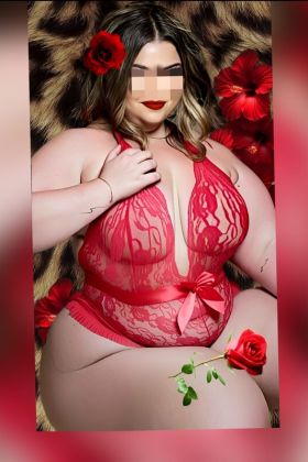 Проститутка ❣️1500❣️ ПОЛЧАСА (46лет,Новосибирск)